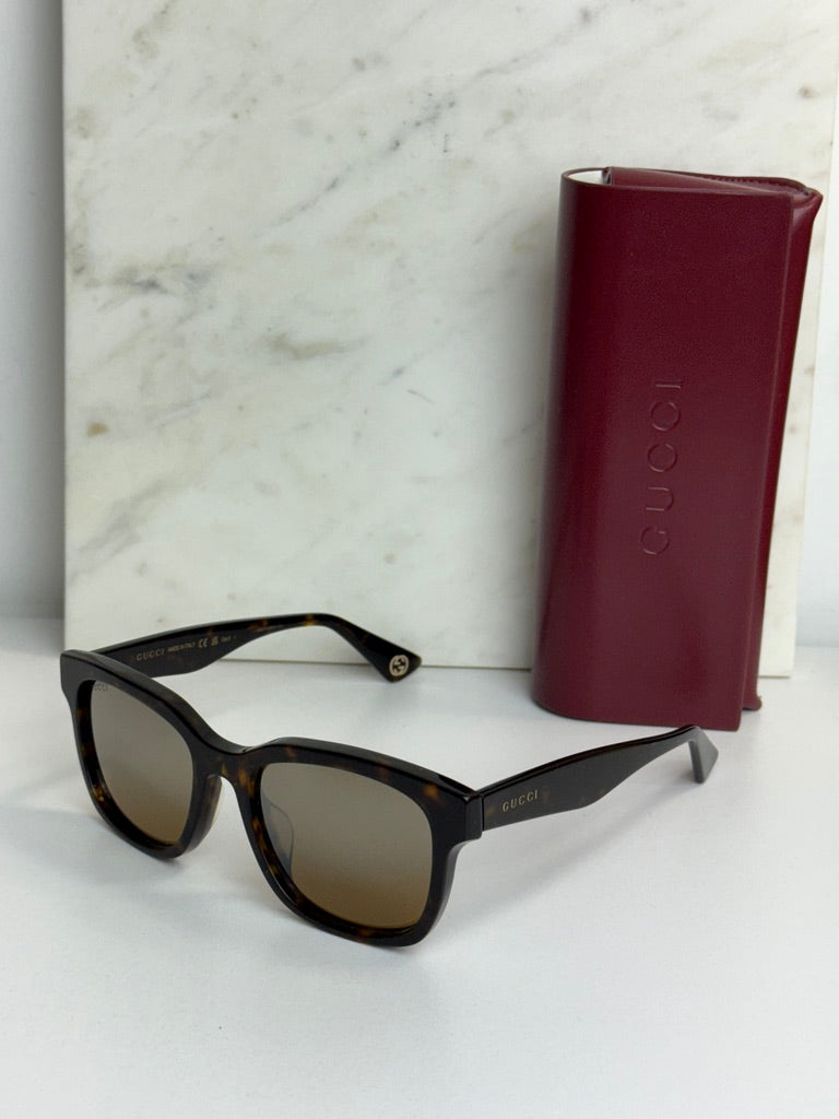 Gucci GG1639SA Havana Brown Unisex Sunglasses