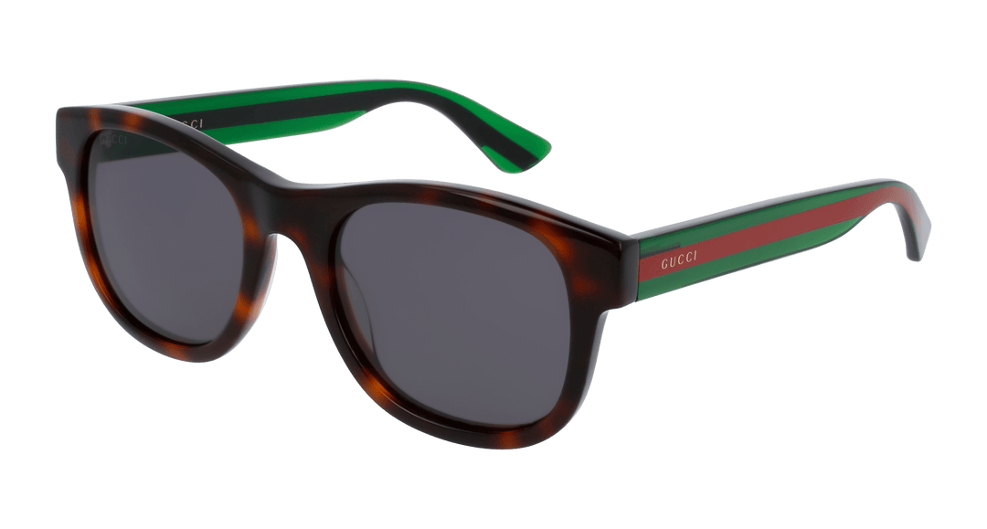 Gucci GG0003S Brown Striped Leg Sunglasses