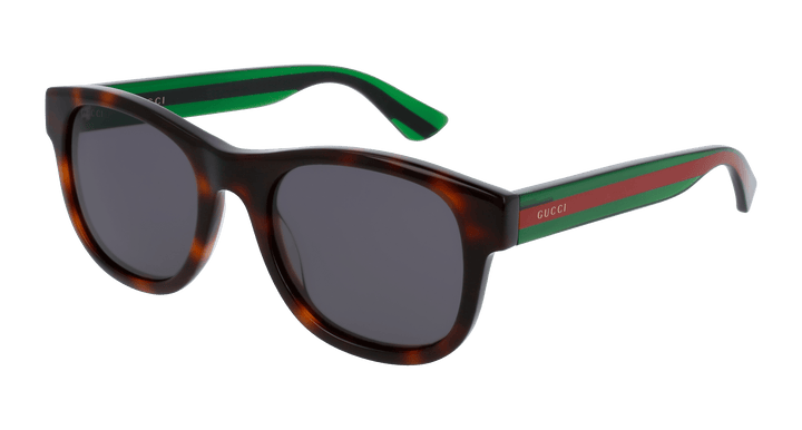 Gucci GG0003S Brown Striped Leg Sunglasses