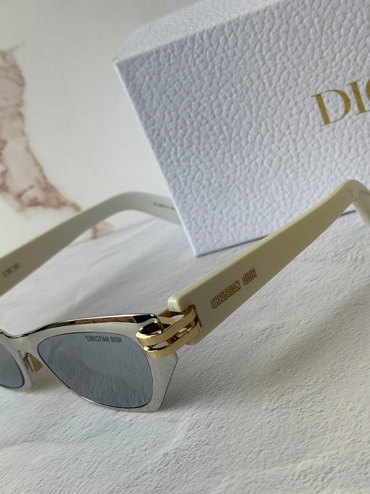 Dior CDior B3U Cat Eye Sunglasses in Silver