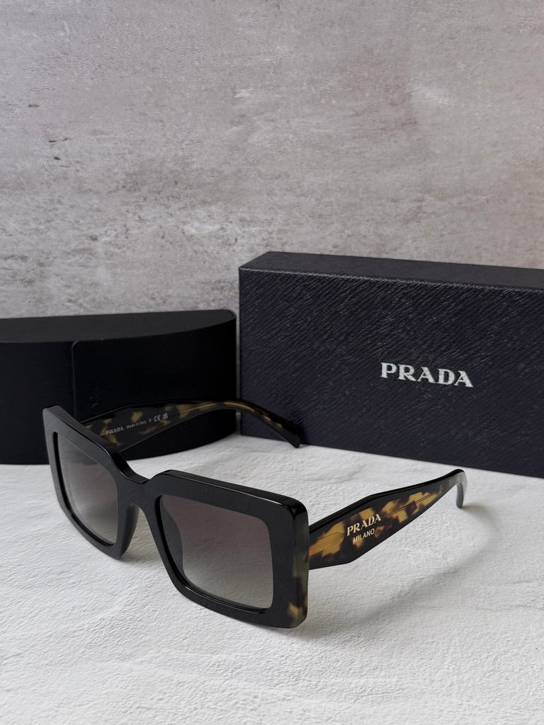 Prada PR D01S Square Sunglasses in Black Havana