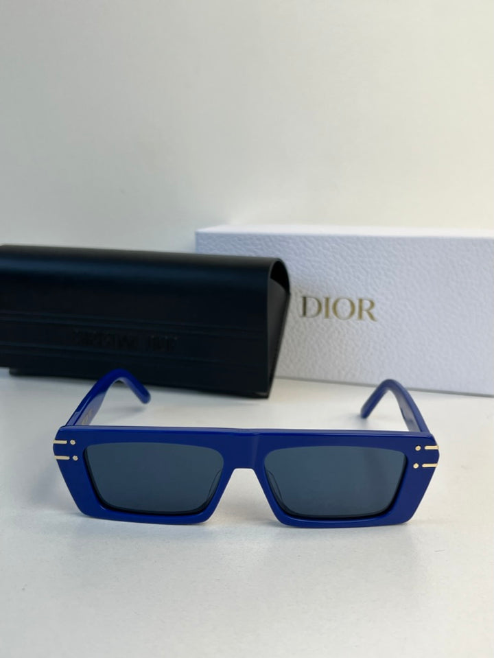 Dior DiorSignature S2U Sunglasses in Blue