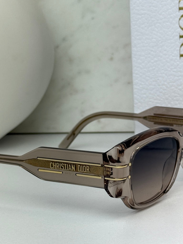 Dior Signature S13I Sunglasses in Transparent Pink