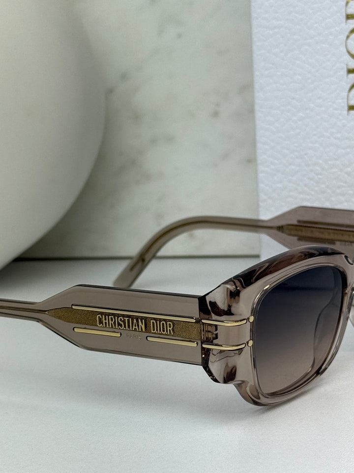 Dior Signature S13I Sunglasses in Transparent Pink