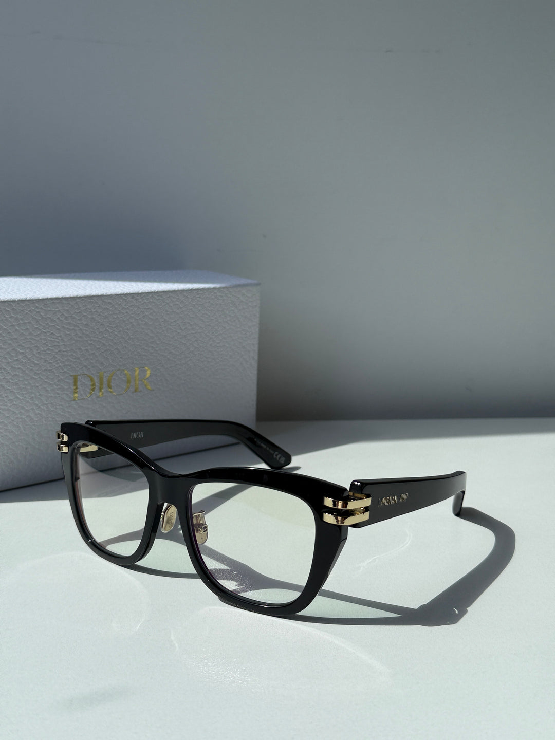 Gafas de sol Dior Wildior S3U en negro 