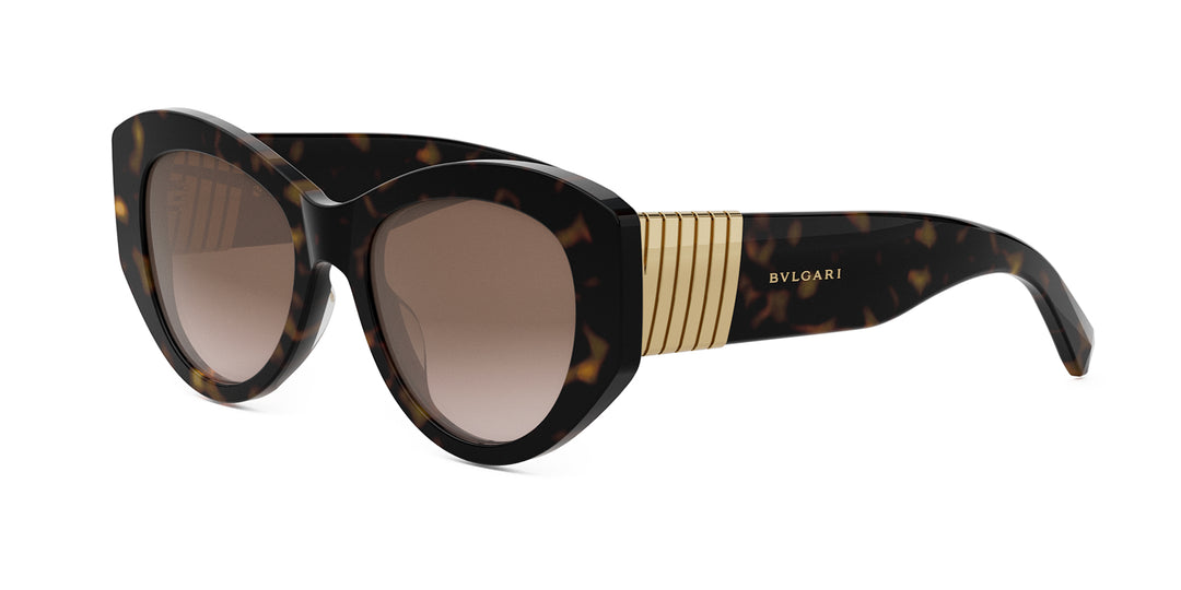 Havana brown tortoiseshell sunglasses with gold-tone tubogas temples and tinted lenses