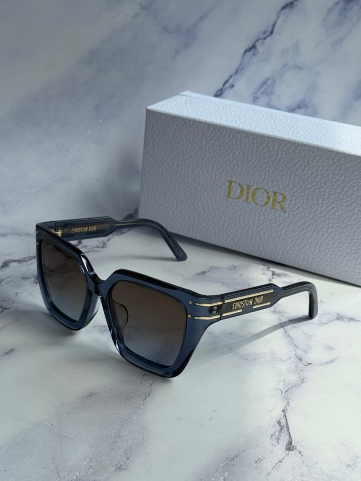 Dior DiorSignature S10F Sunglasses in Blue