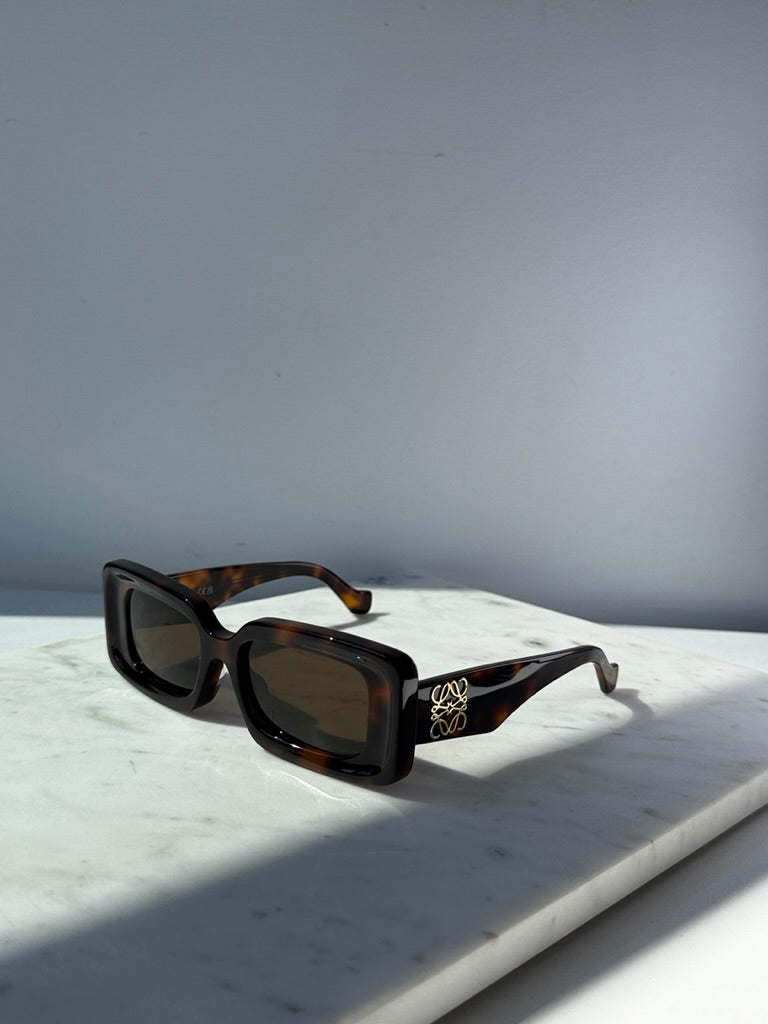 Loewe LW40102F Anagram Sunglasses in Dark Havana Brown