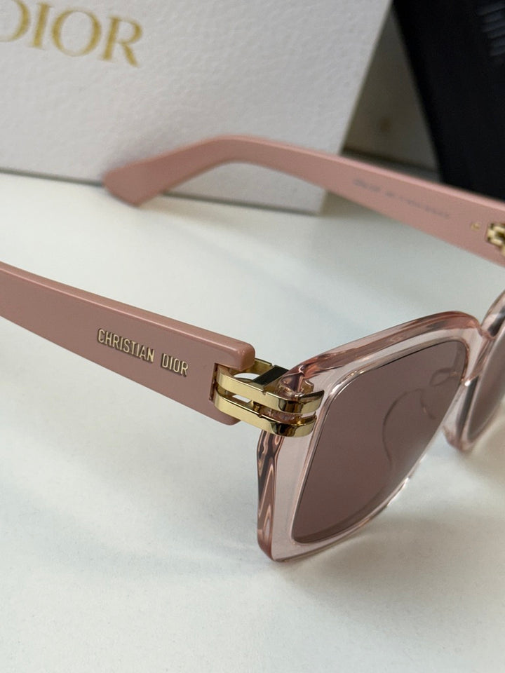 Dior CDior S1F Oversized Butterfly Sunglasses in Transparent Pink