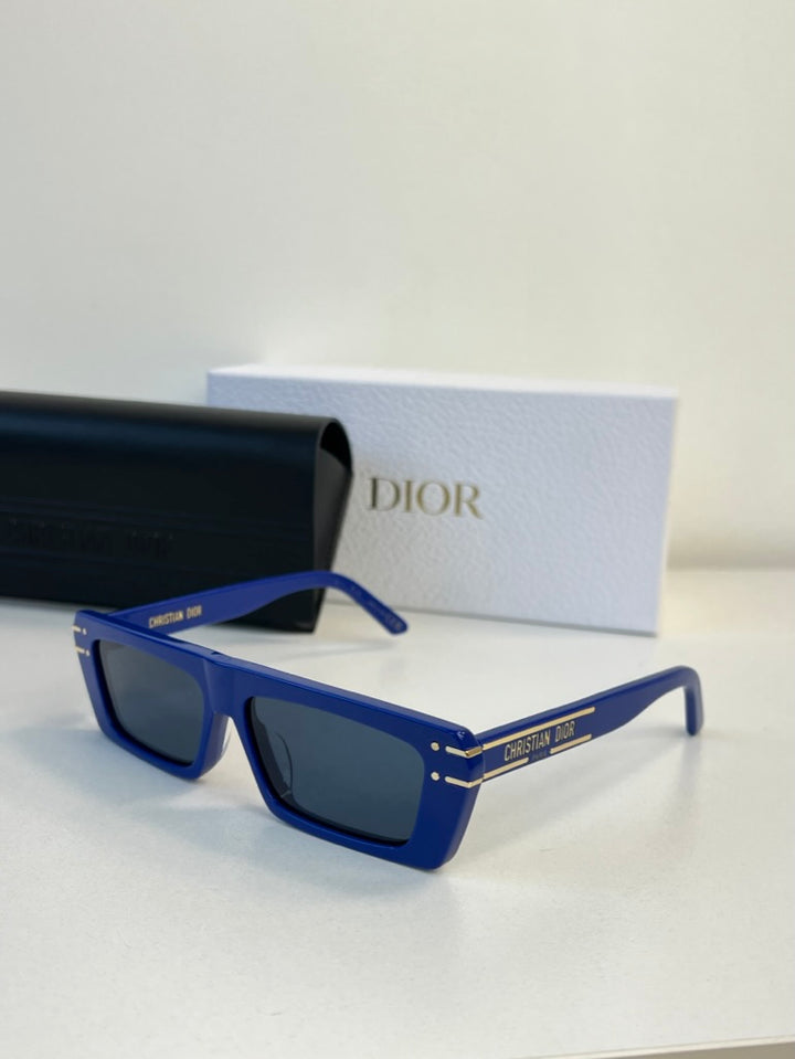 Dior DiorSignature S2U Sunglasses in Blue