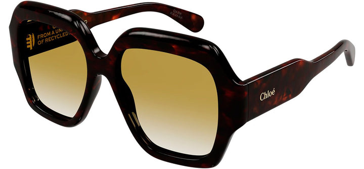 Chloe CH0154S Square Sunglasses in Brown