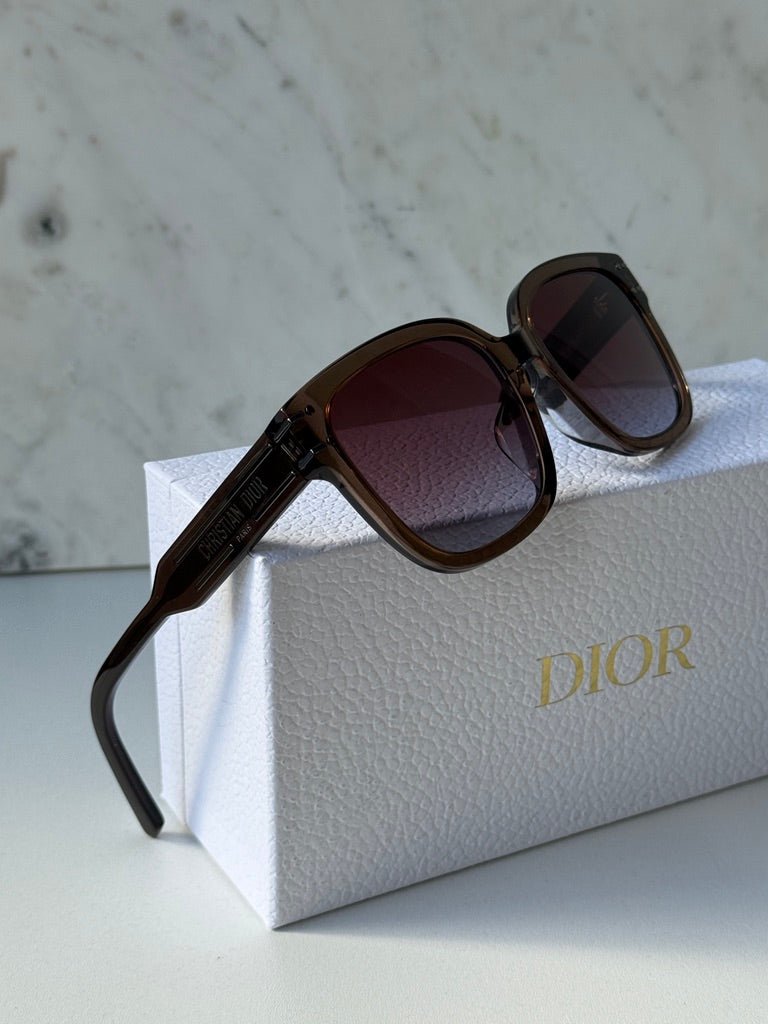 Dior Signature S7F Sunglasses in Shiny Brown