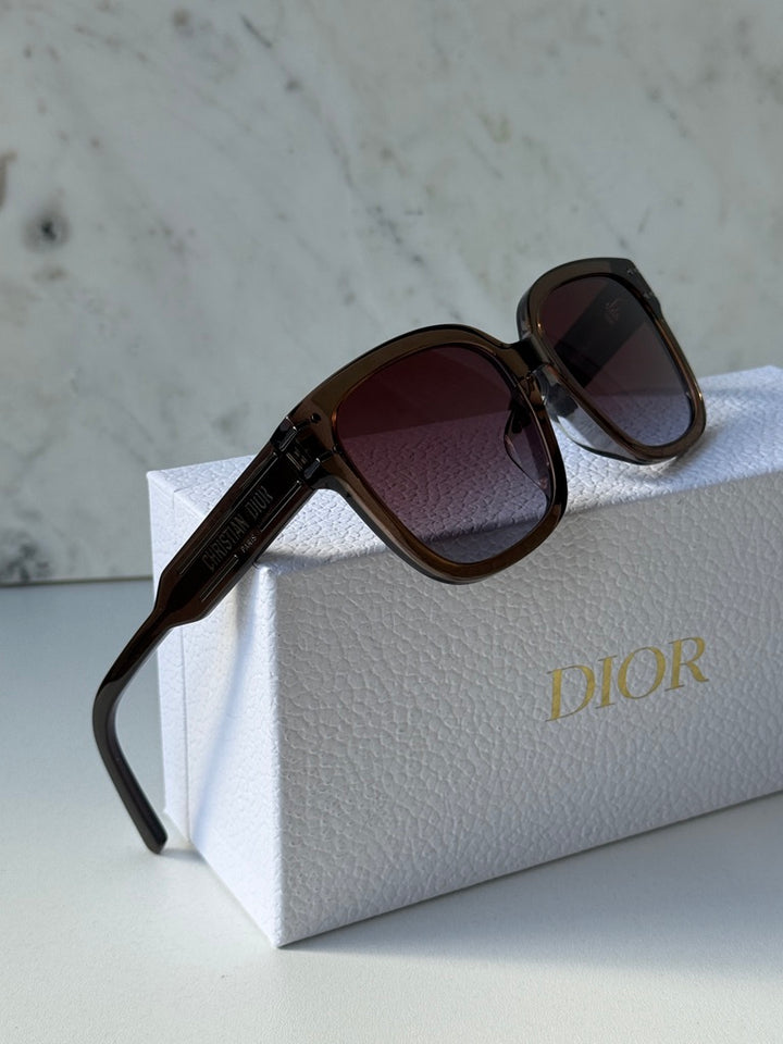 Dior Signature S7F Sunglasses in Shiny Brown
