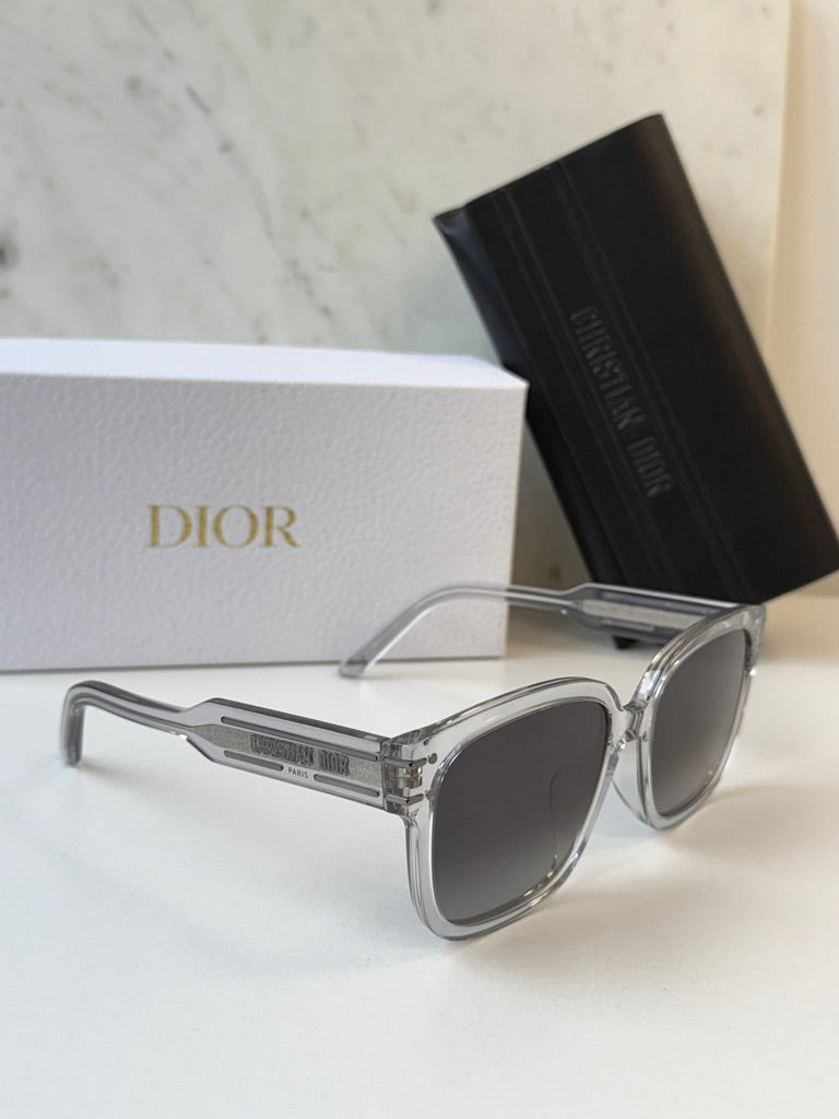 Dior Signature S7F Sunglasses in Transparent Grey