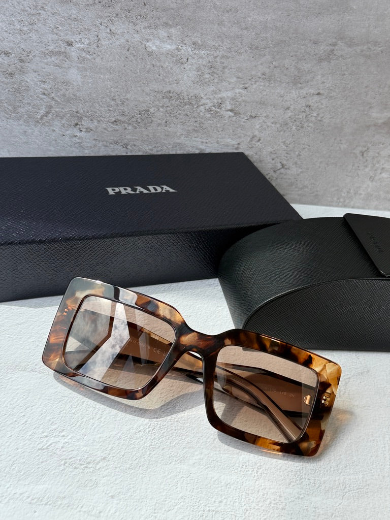 Prada PR D01S Square Sunglasses in Havana Powder
