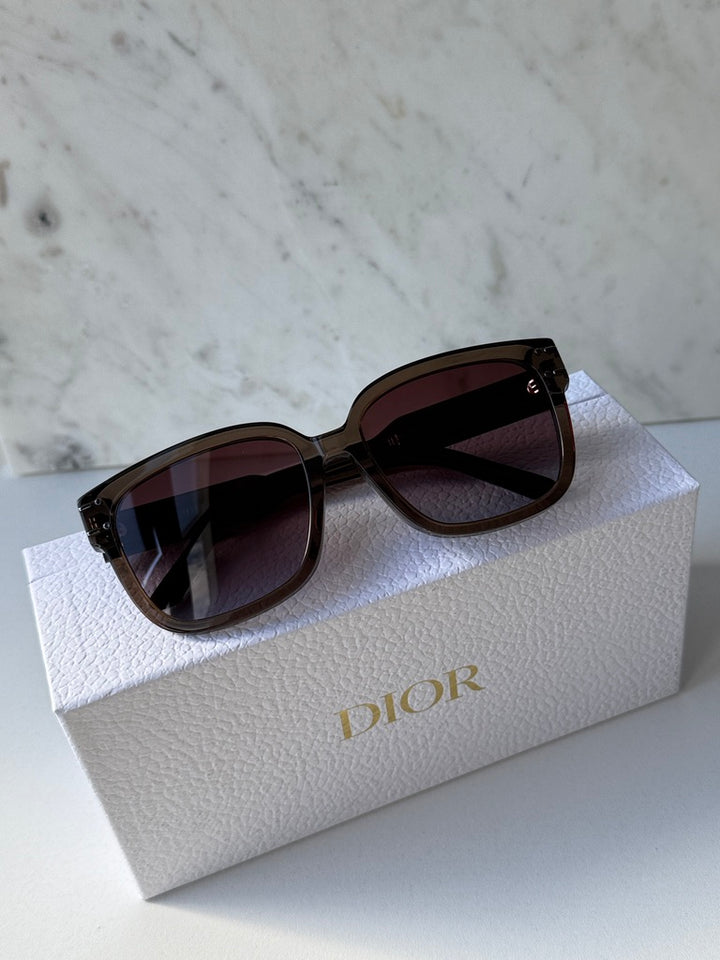 Dior Signature S7F Sunglasses in Shiny Brown