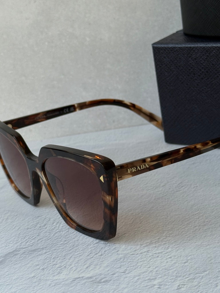 Prada PR23ZS Square Sunglasses in Havana Brown