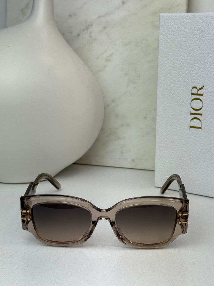 Dior Signature S13I Sunglasses in Transparent Pink
