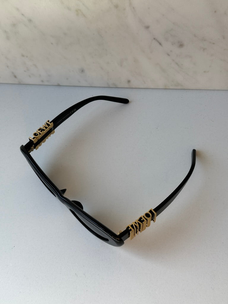 Loewe LW40156U Cat Eye Sunglasses in Black