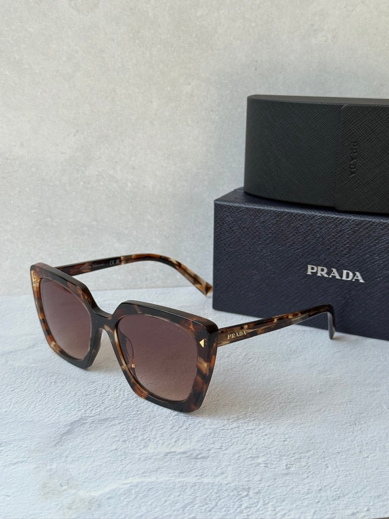 Prada PR23ZS Square Sunglasses in Havana Brown