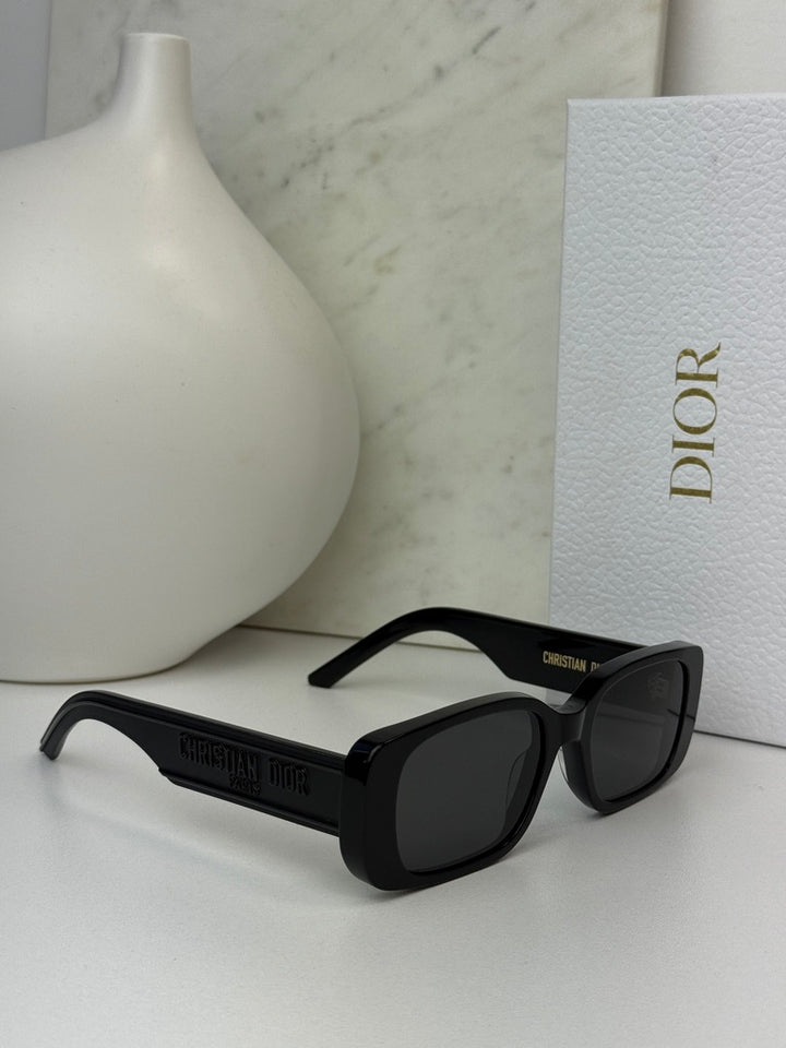 Dior Wildior S2U Sunglasses in Black