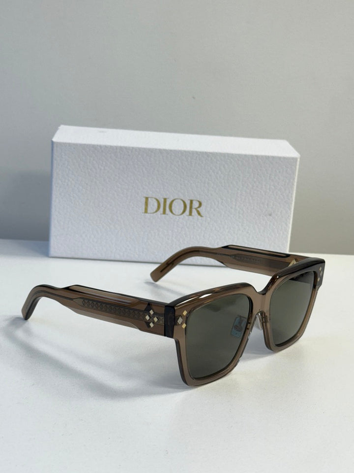 Dior CD Diamond S3F Sunglasses in Transparent Brown