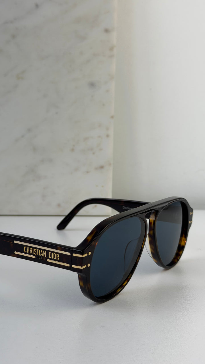 Dior Signature A1U Sunglasses in Dark Brown Havana