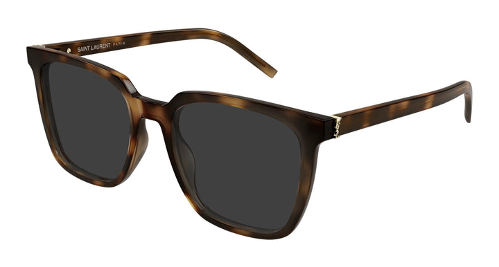 Saint Laurent SLM146/K Square Sunglasses in Havana Brown