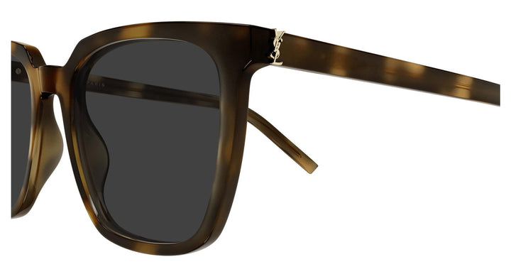 Saint Laurent SLM146/K Square Sunglasses in Havana Brown