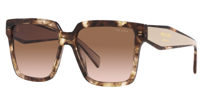 Prada PR24ZS Oversized Sunglasses in Tortoise Powder