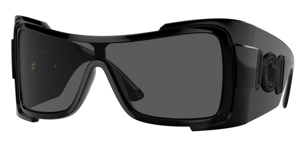 Versace VE4424U Sunglasses in Black – Designer Daydream