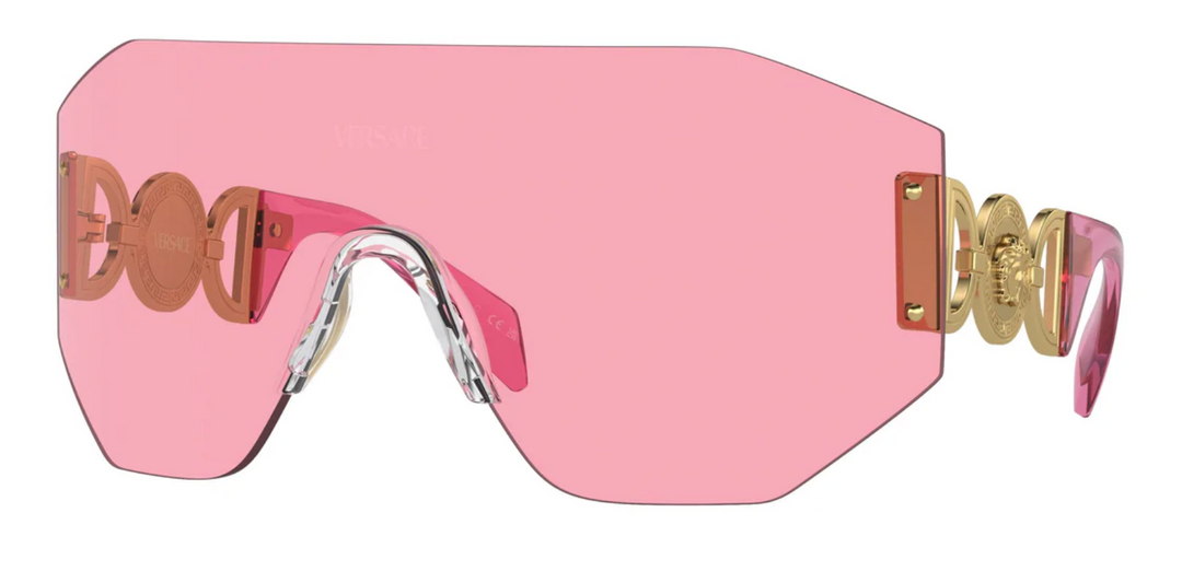 Designer shield sunglasses online