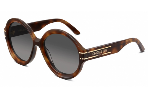 Dior DiorSignature R1U Round Sunglasses in | Designer Daydream display picture 1