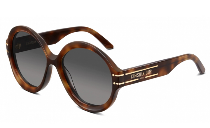 Dior DiorSignature R1U Round Sunglasses in Havana Brown