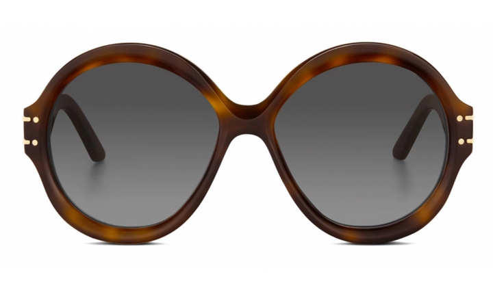 Dior DiorSignature R1U Round Sunglasses in Havana Brown