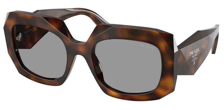 Prada PR B23S Thick Rim Sunglasses in Brown