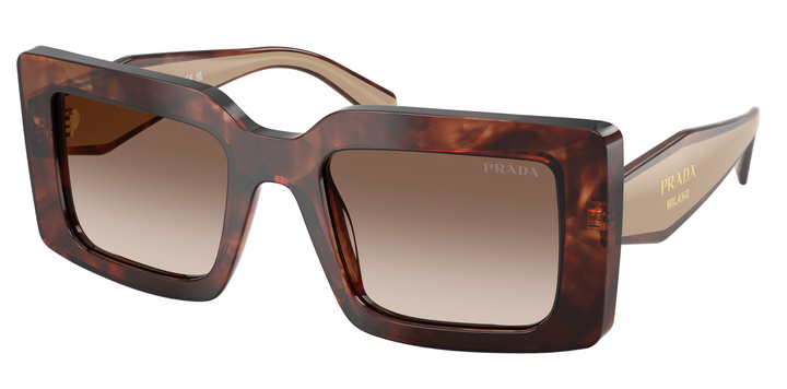 Prada PR D01S Square Sunglasses in Havana Powder