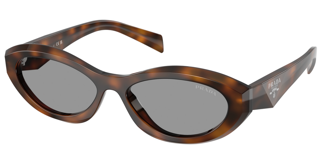 Prada PR26ZS Cat Eye Sunglasses in Root Tortoise