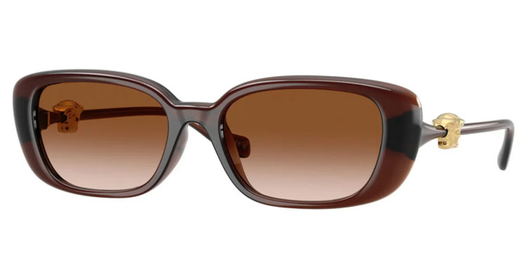 VE4504D Medusa Sunglasses in Transparent Brown