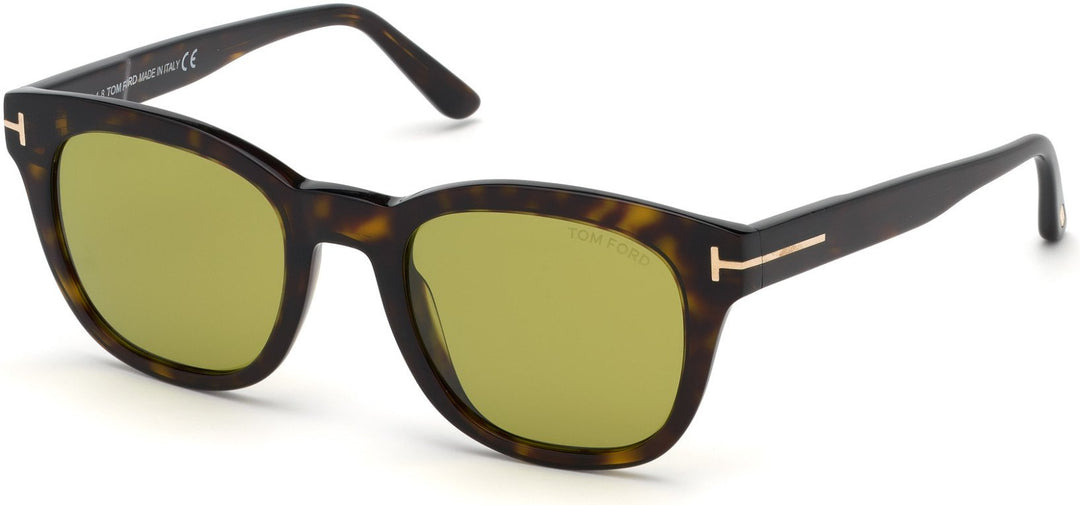 Tom Ford Eugenio TF676 Sunglasses in Brown