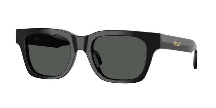 Versace VE4486 Black Unisex Square Sunglasses