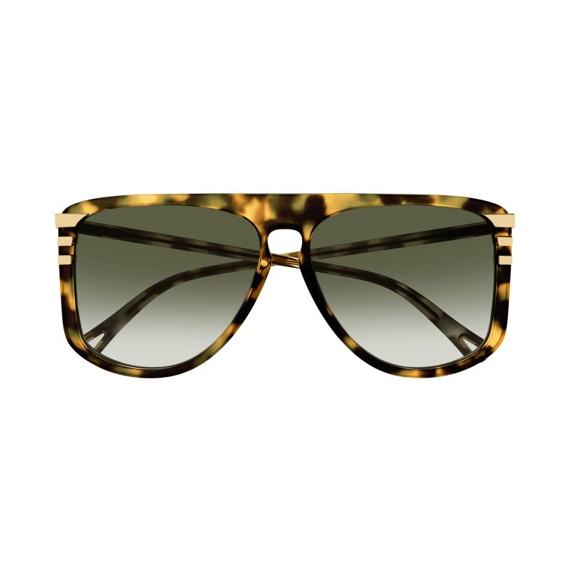 Green-tinted aviator sunglasses with tortoiseshell frames, front view