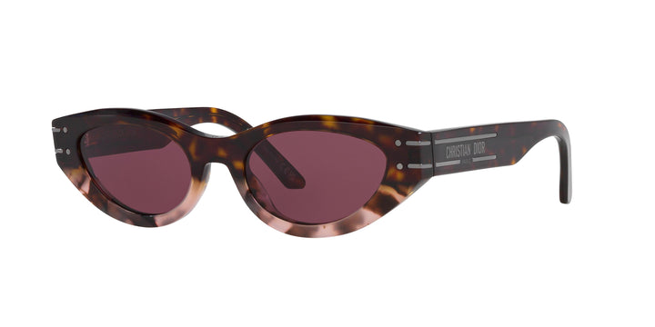 Dior Signature B5I Cat Eye Sunglasses in Dark Havana