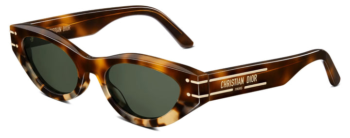 Dior Signature B5I Cat Eye Sunglasses in Brown