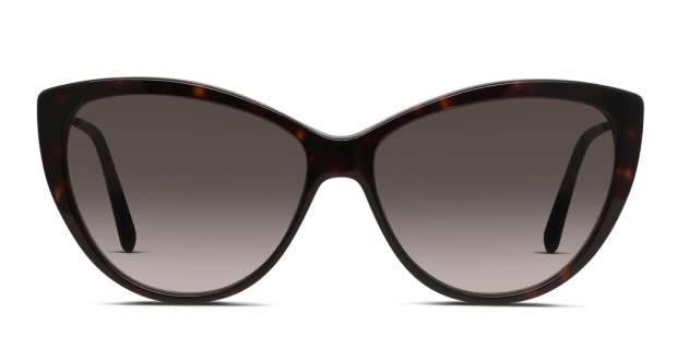 Jimmy Choo Rym Cat Eye Sunglasses in Havana Brown