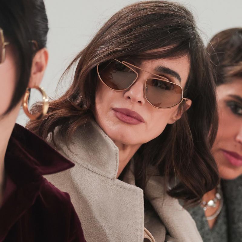 Max Mara MM0165 Joey Sunglasses in Brown