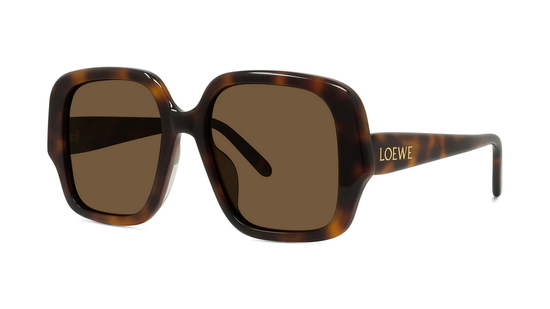 Oversized square sunglasses with Havana brown frames and dark brown lenses, Loewe logo.