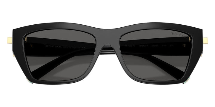 Tiffany &amp; Co TF4255U Sunglasses in Black