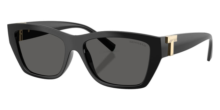 Tiffany &amp; Co TF4255U Sunglasses in Black