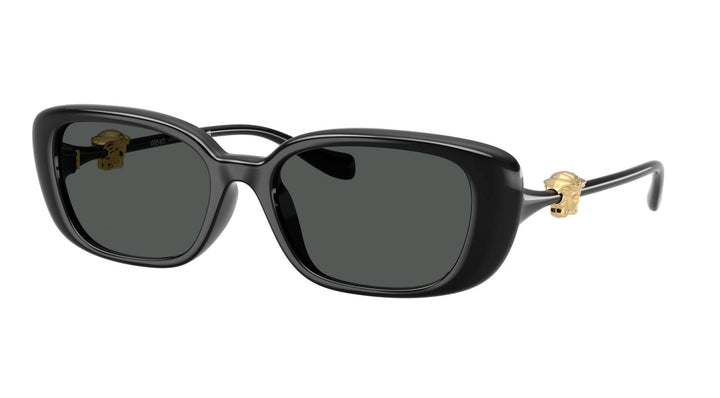 Versace VE4504D Medusa Sunglasses in Black